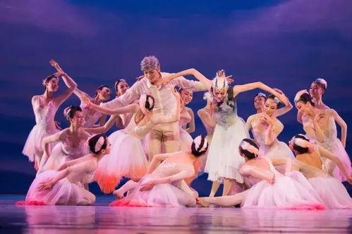 日本涂油舞蹈在线视频,在线视频引爆全民狂欢